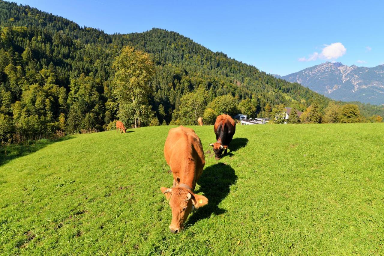 Das Graseck - Mountain Hideaway & Health Care Гармиш-Партенкирхен Экстерьер фото